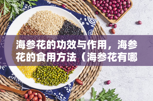 海参花的功效与作用，海参花的食用方法（海参花有哪些功效与作用？）