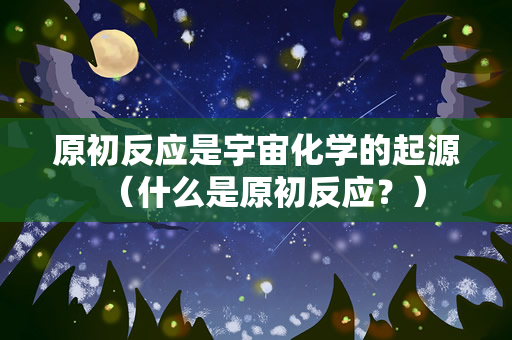 原初反应是宇宙化学的起源（什么是原初反应？）