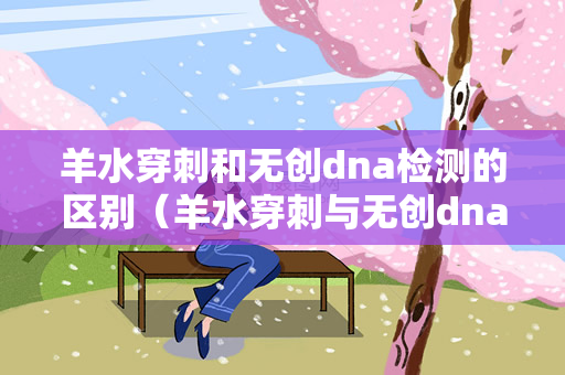 羊水穿刺和无创dna检测的区别（羊水穿刺与无创dna检测的区别）