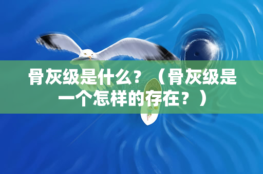 骨灰级是什么？（骨灰级是一个怎样的存在？）