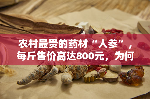 农村最贵的药材“人参”，每斤售价高达800元，为何如此昂贵？（农村最贵的药材“人参”，为何如此昂贵？）