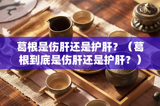 葛根是伤肝还是护肝？（葛根到底是伤肝还是护肝？）