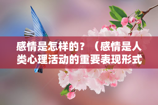 感情是怎样的？（感情是人类心理活动的重要表现形式吗？）