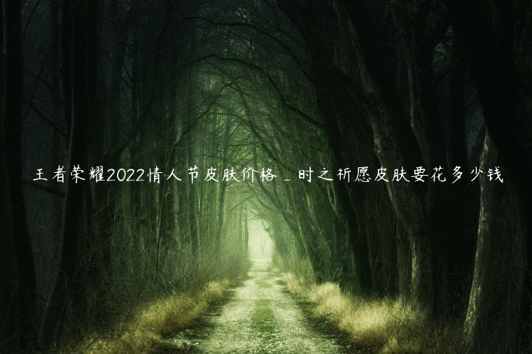 王者荣耀2022情人节皮肤价格_时之祈愿皮肤要花多少钱