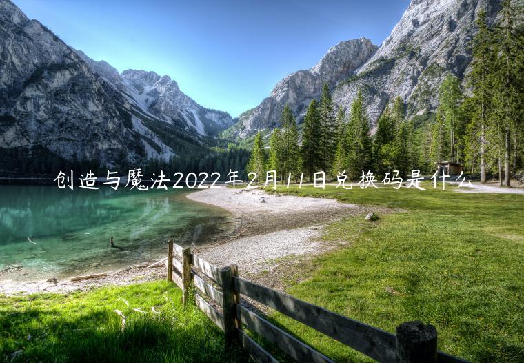 创造与魔法2022年2月11日兑换码是什么