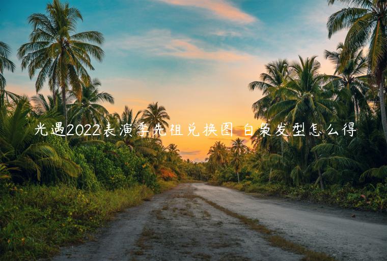 光遇2022表演季先祖兑换图 白枭发型怎么得