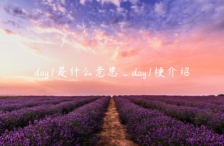 day1是什么意思_day1梗介绍