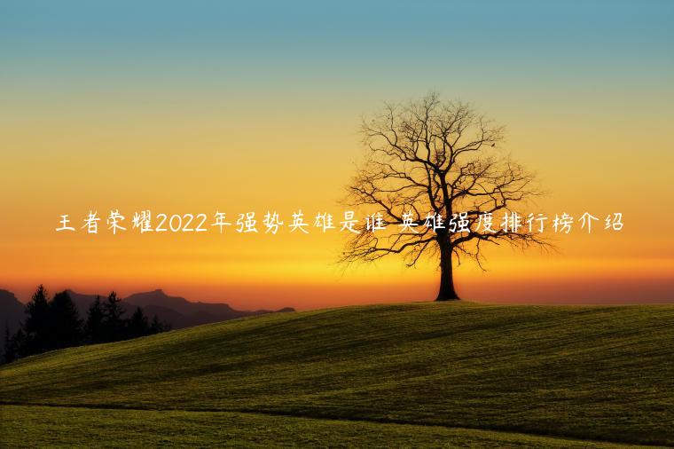 王者荣耀2022年强势英雄是谁 英雄强度排行榜介绍