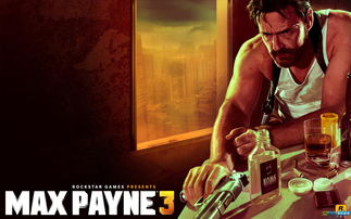 maxpayne(马克思·佩恩 Max Payne剧情介绍)