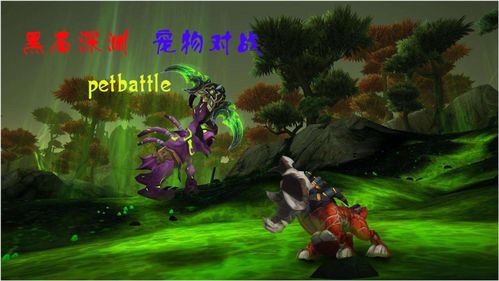 wow战斗宠物(魔兽世界宠物战斗周详解)