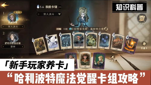 魔力学堂新手卡(魔力学堂 新手卡)