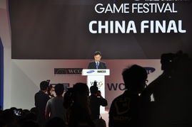 wcg2012(wcg2012CF中国VS日本 中国有哪些队员)