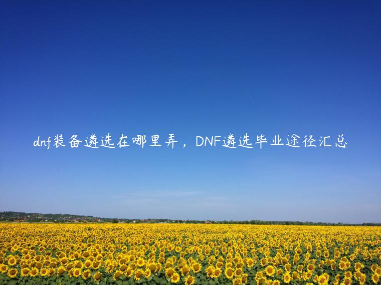 dnf装备遴选在哪里弄，DNF遴选毕业途径汇总