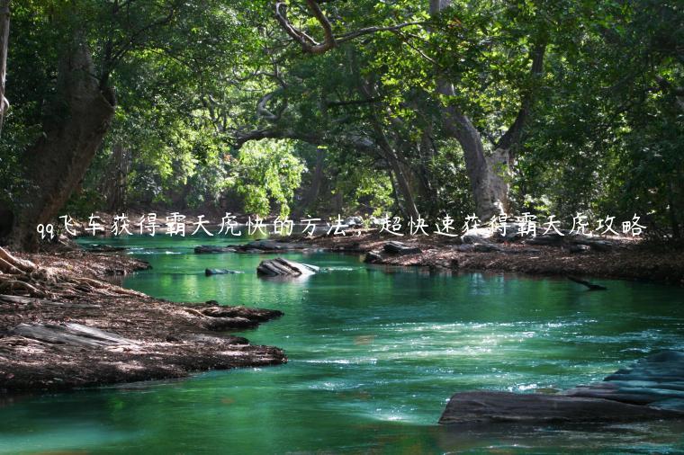 qq飞车获得霸天虎快的方法，超快速获得霸天虎攻略