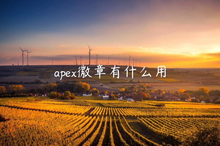 apex徽章有什么用