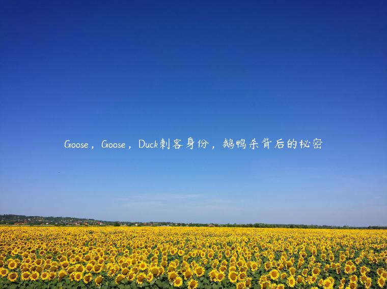 Goose，Goose，Duck刺客身份，鹅鸭杀背后的秘密