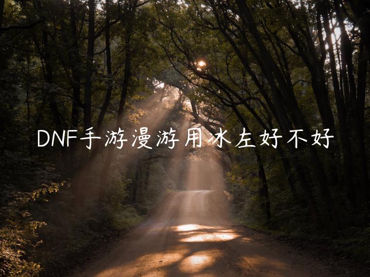 DNF手游漫游用冰左好不好