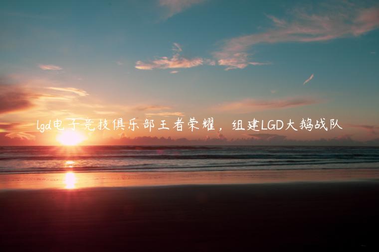 lgd电子竞技俱乐部王者荣耀，组建LGD大鹅战队