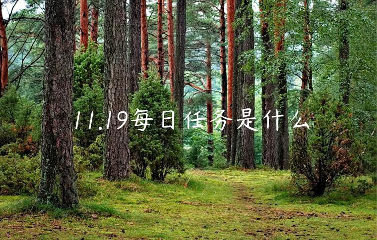 11.19每日任务是什么