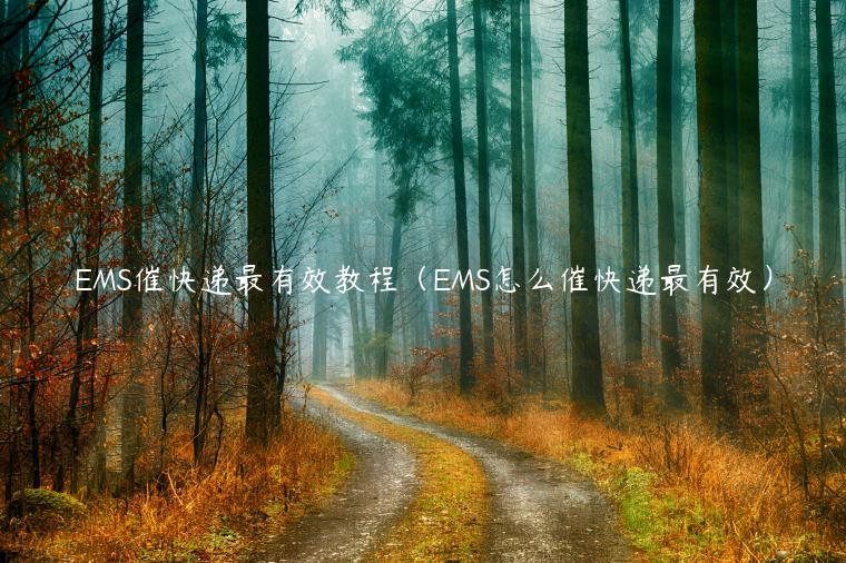 EMS催快递最有效教程（EMS怎么催快递最有效）