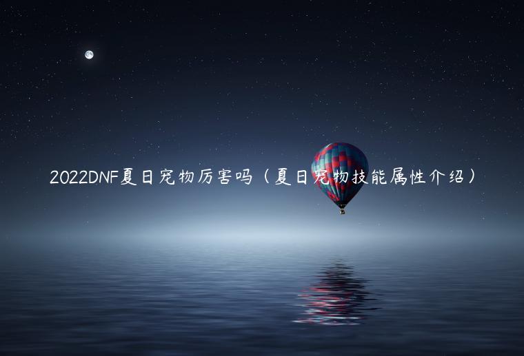 2022DNF夏日宠物厉害吗（夏日宠物技能属性介绍）