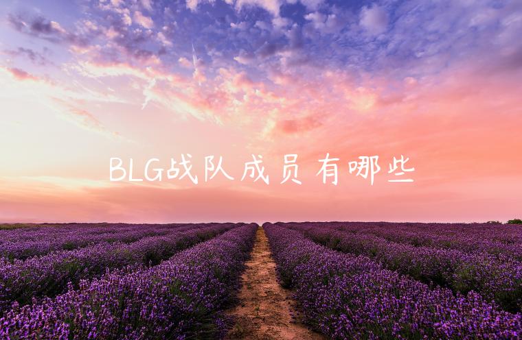 BLG战队成员有哪些