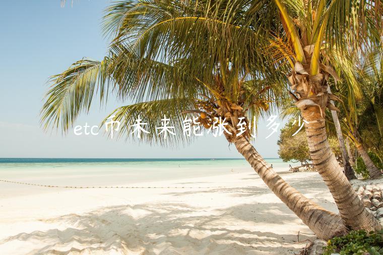 etc币未来能涨到多少