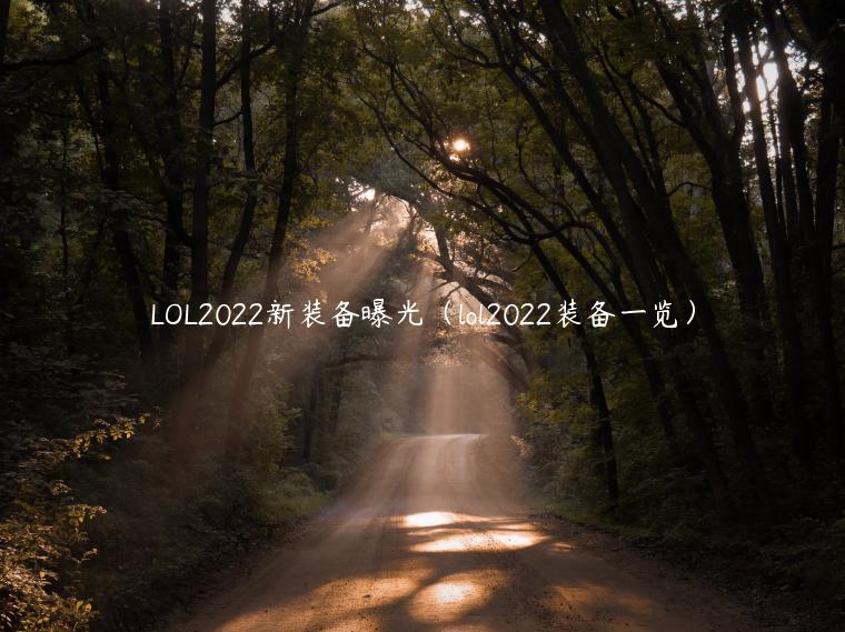 LOL2022新装备曝光（lol2022装备一览）