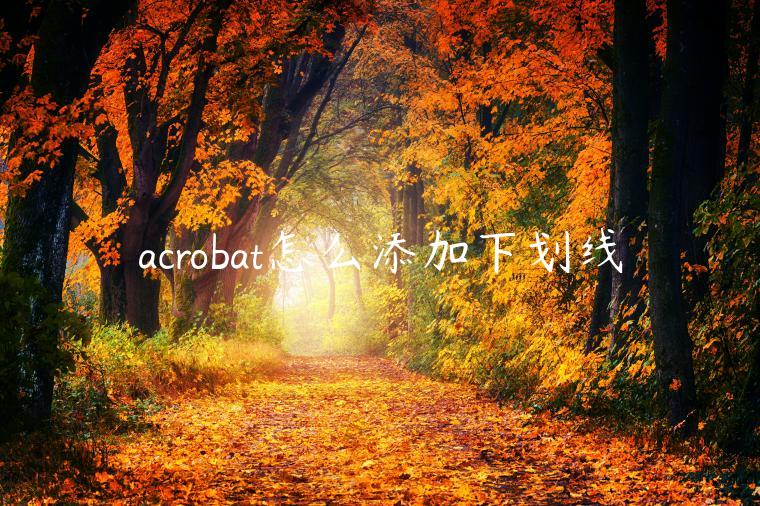 acrobat怎么添加下划线