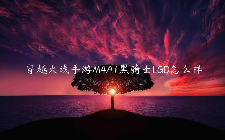 穿越火线手游M4A1黑骑士LGD怎么样