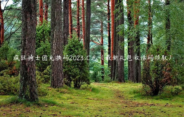 疯狂骑士团兑换码2023汇总（最新礼包激活码领取）