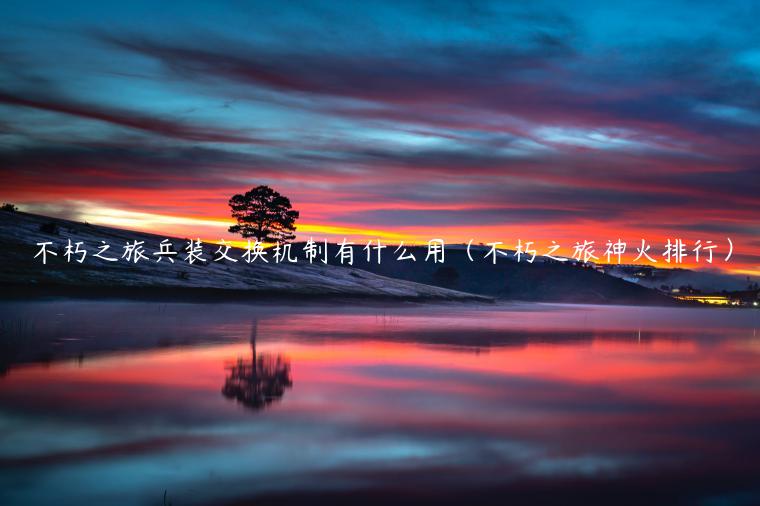 不朽之旅兵装交换机制有什么用（不朽之旅神火排行）