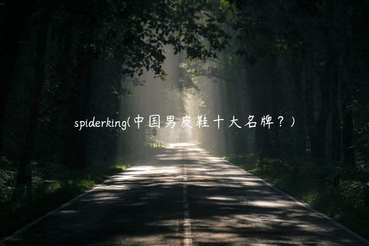 spiderking(中国男皮鞋十大名牌？)