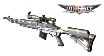 m14 ebr(穿越火线CF金牛座m14ebr多少钱)