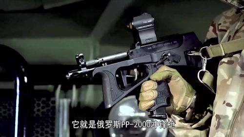 pp-2000(俄罗斯PP-2000冲锋枪)