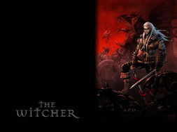 witcher(《巫师2》狩魔猎人系列全解密（剧透）)