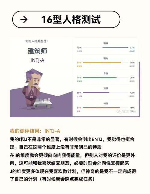 我的搜索人格(人格的结构包括哪些)