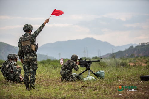 射击类(射击类网游排行)