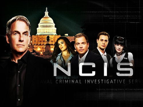 ncis(我想问一下美国NCIS与海军情报局有什么关系？)