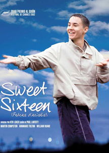 甜蜜十六岁(sweet sixteen是什么意思)