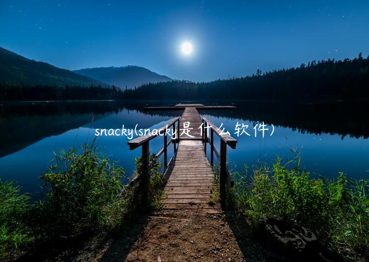 snacky(snacky是什么软件)