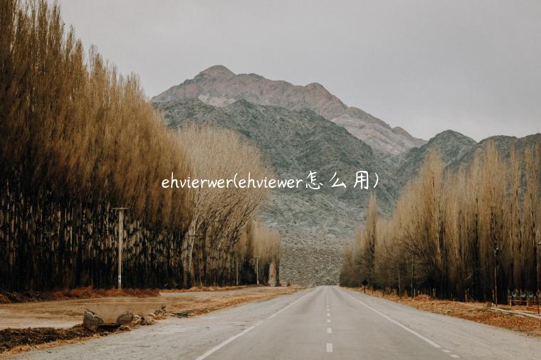 ehvierwer(ehviewer怎么用)