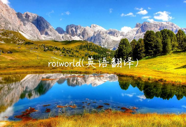 roiworld(英语翻译)