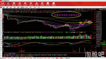 手机炒股软件(手机炒股用什么软件)