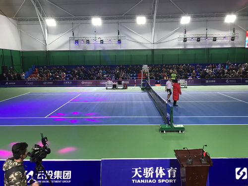 网球大师杯(2022atp年终总决赛地点)