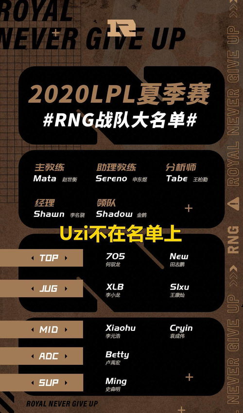 RNG是啥意思(功率计rng代表什么意思)