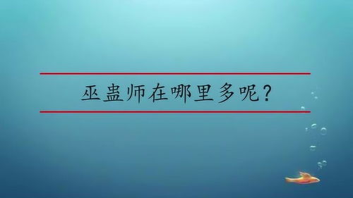 巫蛊师哪里多(阴阳师独眼哪里多)