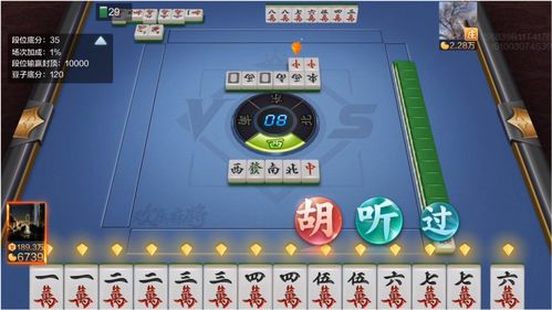 二人麻将(二人麻将怎么玩 二人麻将如何玩)