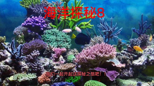 最淡的海(世界上最浅的海是什么海)