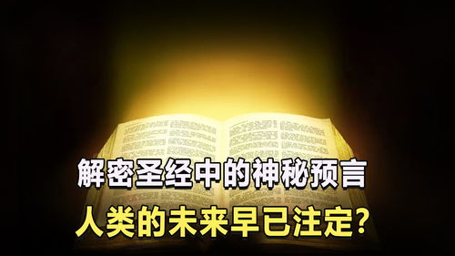 黎明之预言书(地下城与勇士中黎明之预言书打什么怪得到)